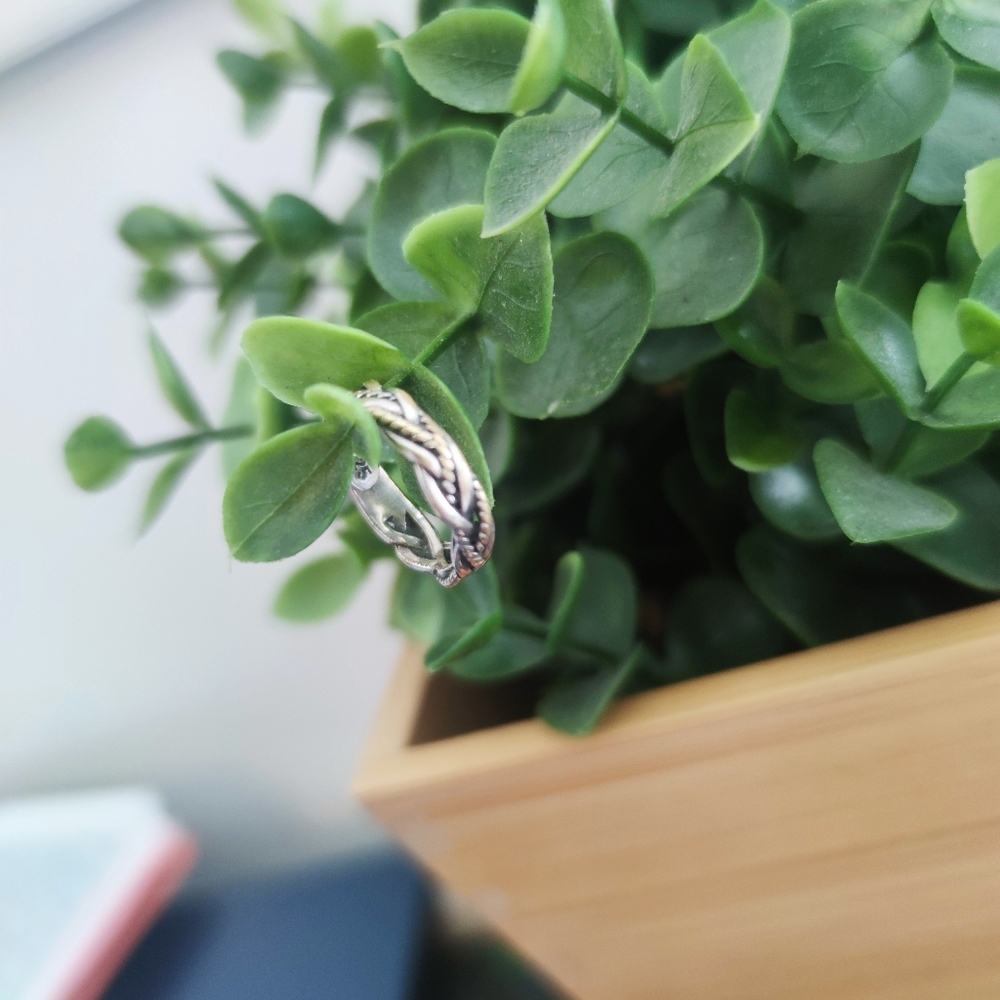 Elegant Silver Twisted Ring